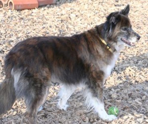STELLA - fitte und sportliche Rentnerin!