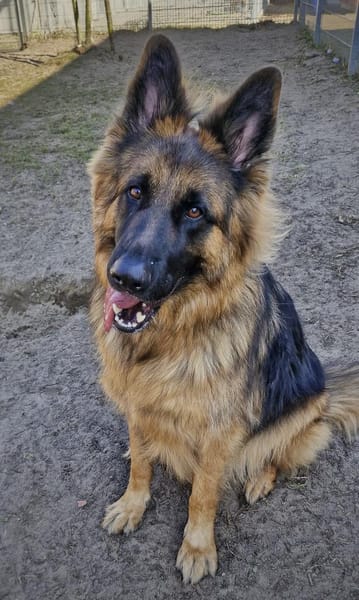 Beki