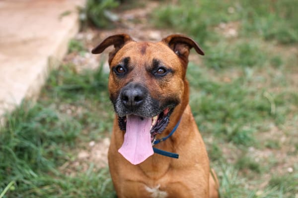 Tyson