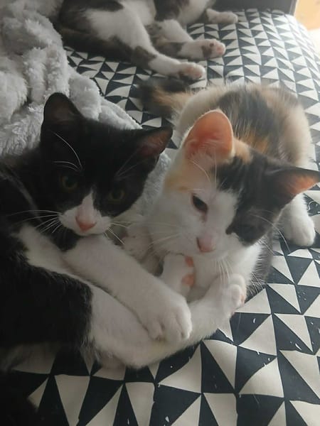 LUNE et JERRY