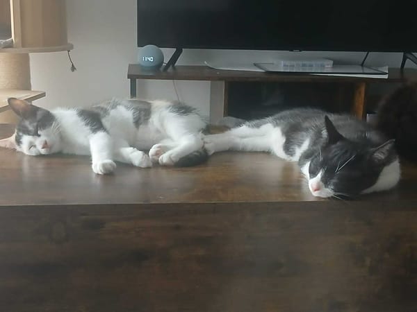 LUNE et JERRY