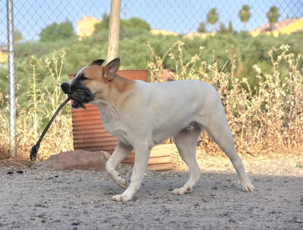 BENITO