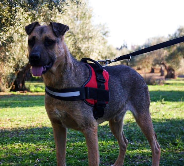 OTTO