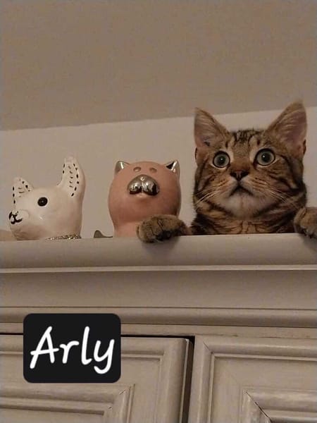 ARLY