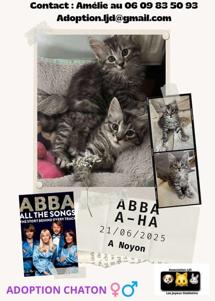 ABBA / A-HA