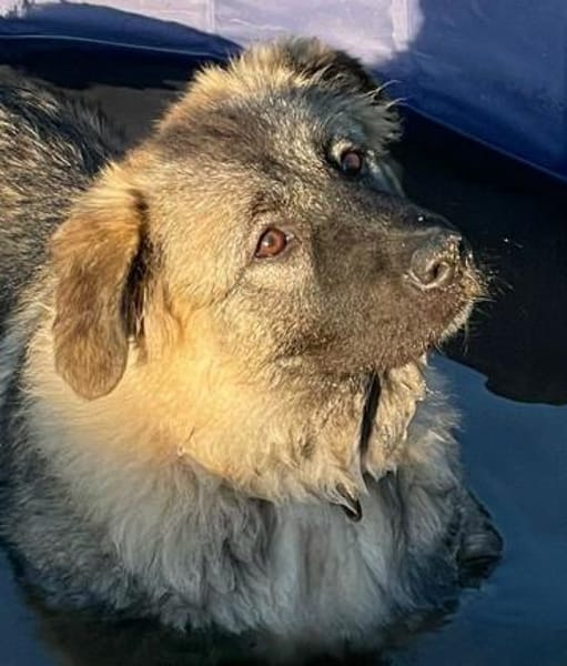 Fräulein ANNA :)
