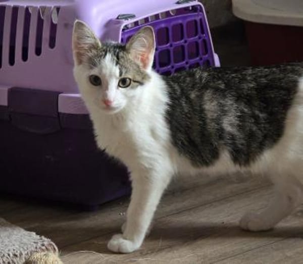***MADDIE und THEA im Doppelpack!