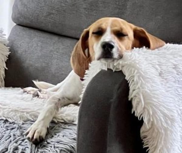 Bonny, verschmust, neugierig, offen