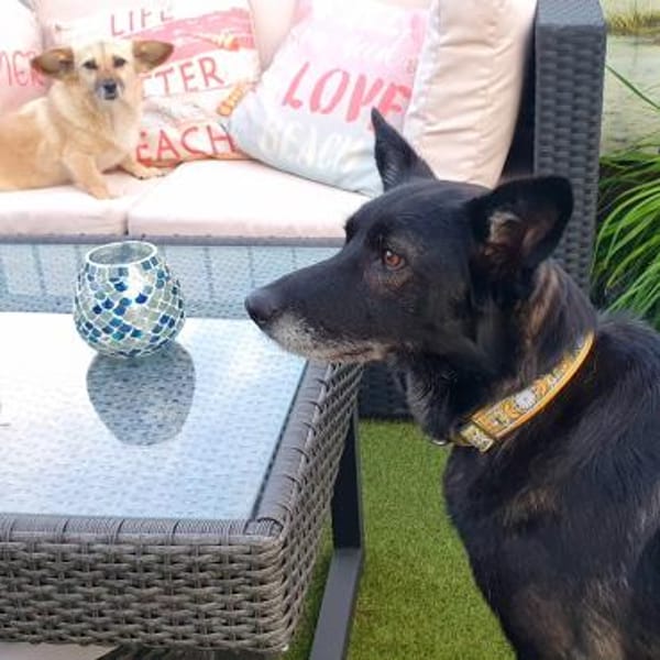 SUZANA - aktive, tolle Lady