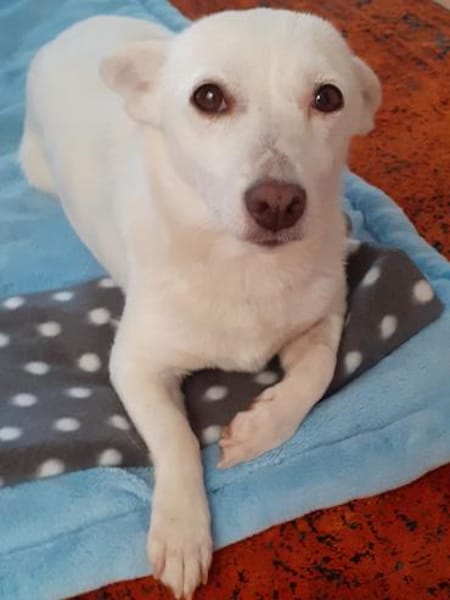 Masha ist so liebenswert und bescheiden!