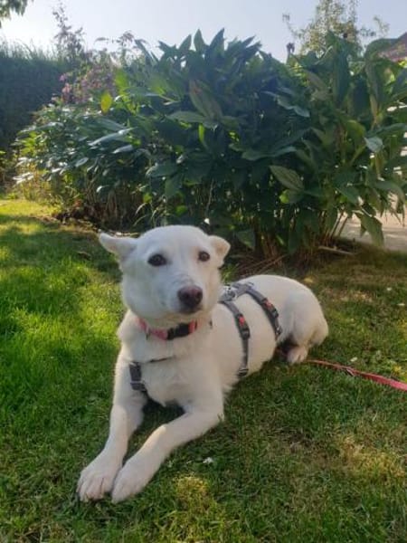 Masha ist so liebenswert und bescheiden!
