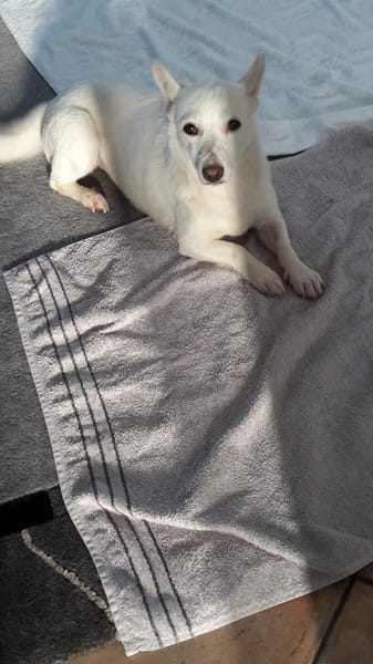 Masha ist so liebenswert und bescheiden!