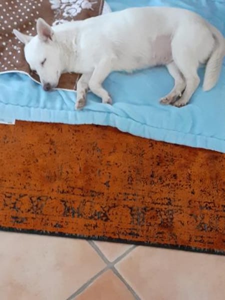 Masha ist so liebenswert und bescheiden!