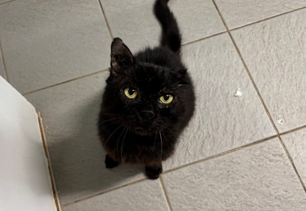 JEAN-PIERRE