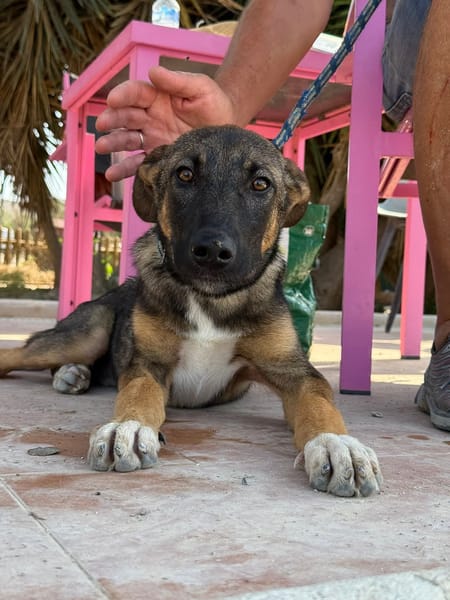 BEASLEY (Maria)