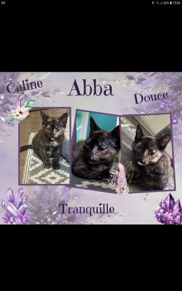 Abba