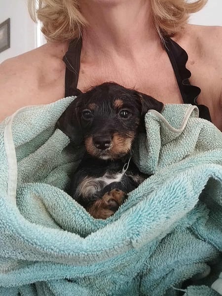 Ataya, un bout de chou d'amour