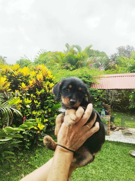 Ataya, un bout de chou d'amour