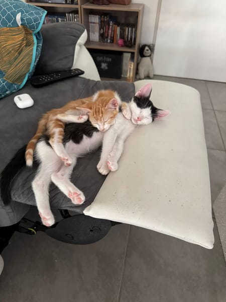OREO*