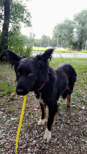Zorka