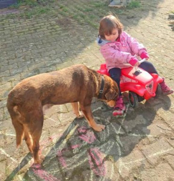Lea und Lord liebenswertes Hundepärchen