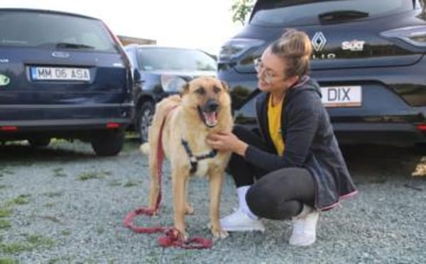 Madison sucht Geborgenheit