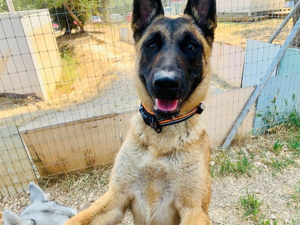 NALA
