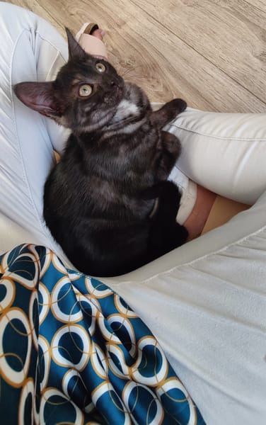 Lola