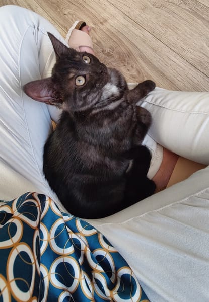 Lola