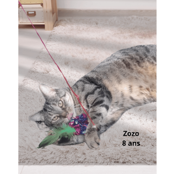 Zozo