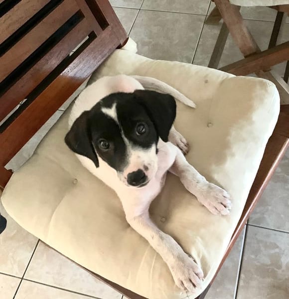 MINNIE