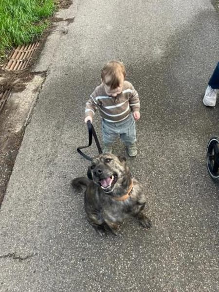 Buddy