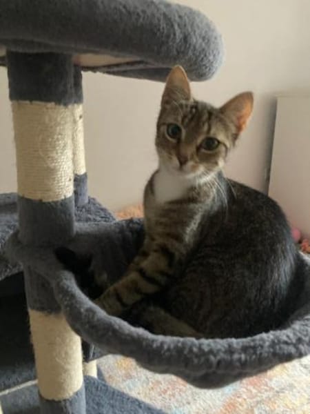 Schüchterne Lilly sucht ihre Familie