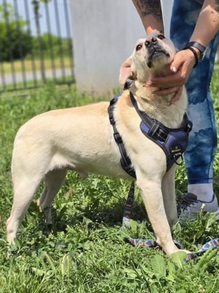 ❤ Bongo, Pflegefamilie Erkelenz