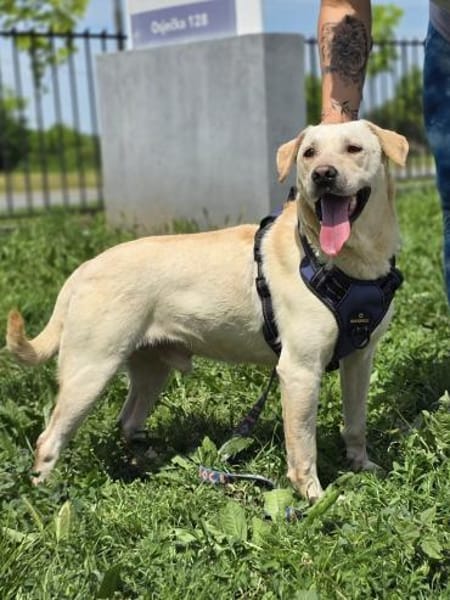 ❤ Bongo, Pflegefamilie Erkelenz