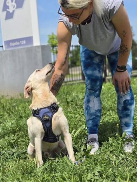 ❤ Bongo, Pflegefamilie Erkelenz