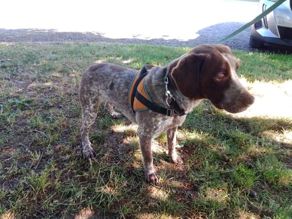 ATHOS