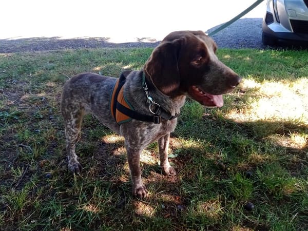 ATHOS