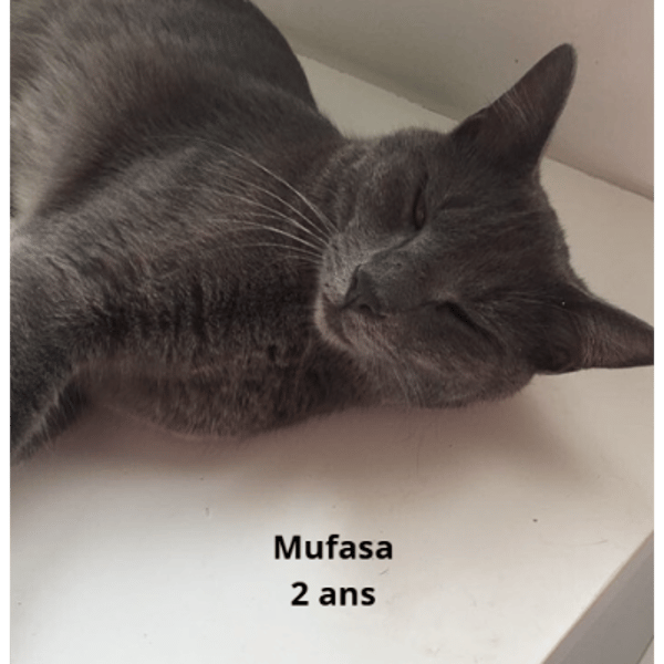 Mufasa