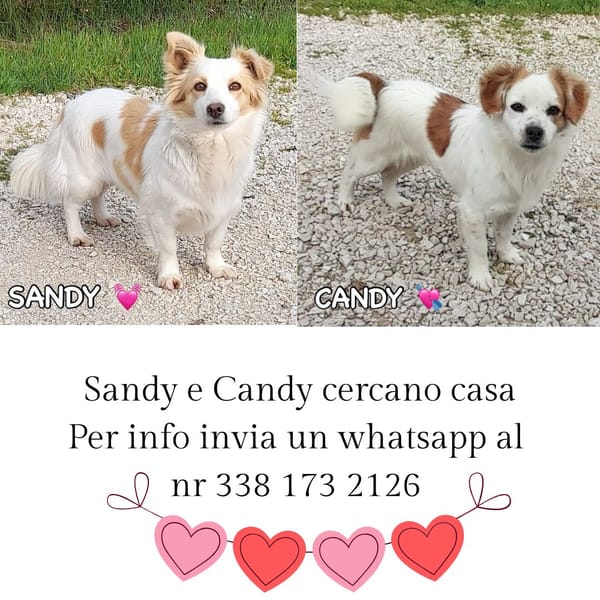 Candy e Sandy