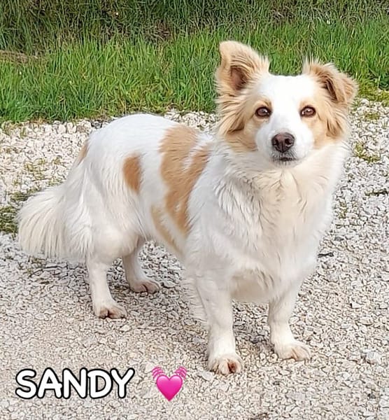 Candy e Sandy