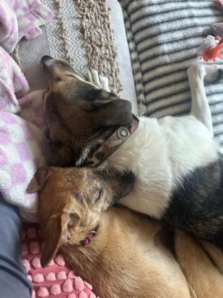 PINKI *WoLiebe wohnt heilen Körper&Seele