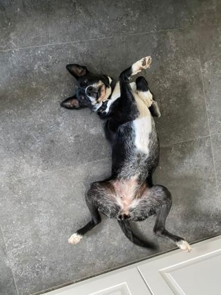 BLANCA ❤ Sonnenschein, PSfamilie Köln