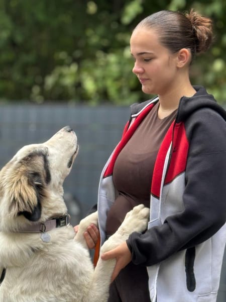 Loui ein Traum von Hund...