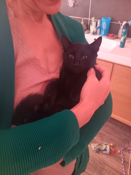 BAGHEERA**