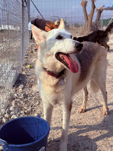 CLOE (Maria)