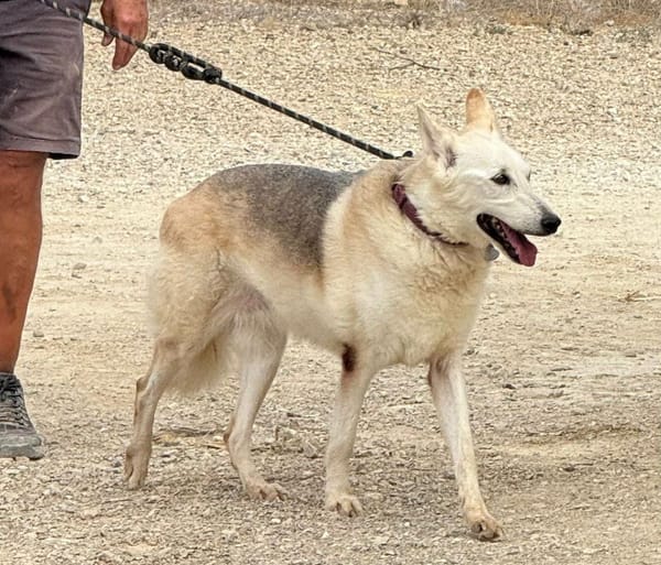 CLOE (Maria)