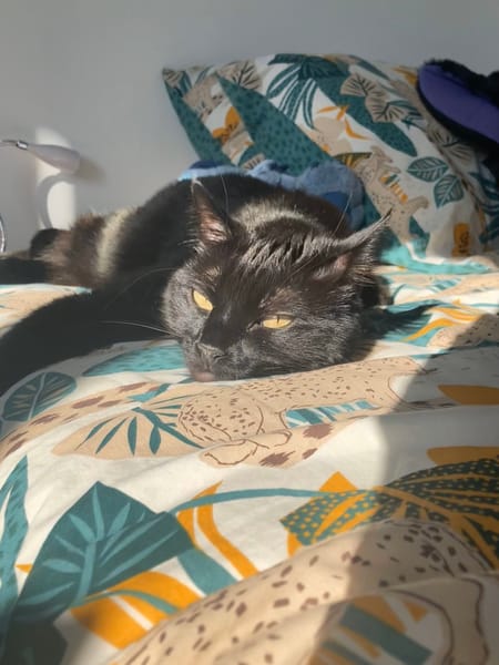 Otis
