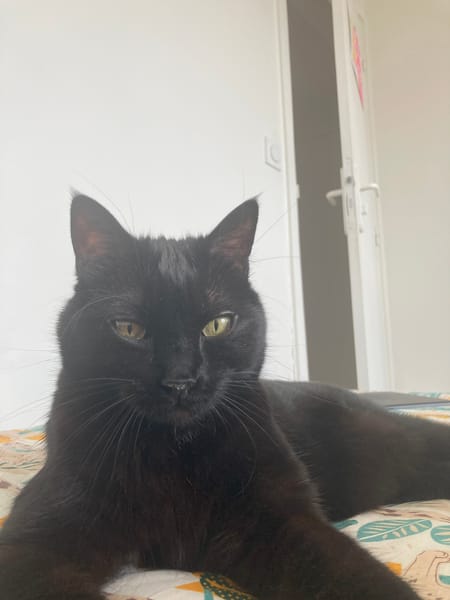 Otis
