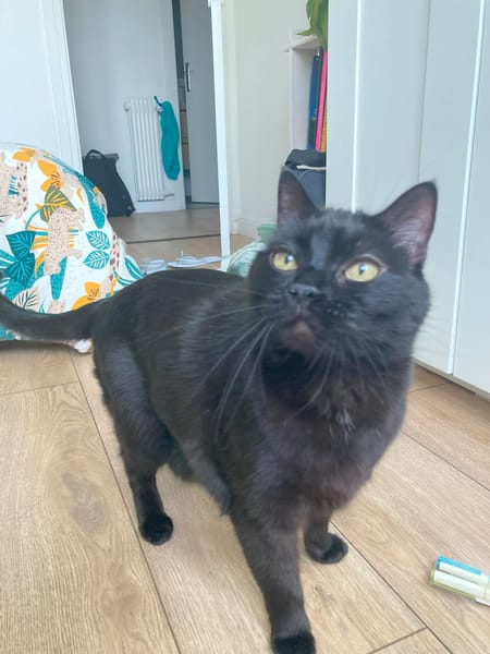Otis